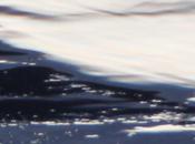 ... in Melville’s 'Benito Cereno' and Twain’s 'Huckleberry Finn