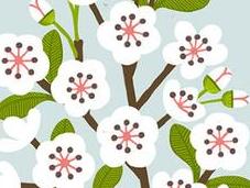 illustrations simples naturelles Sarah Abbott