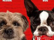 Critique Ciné Backstreet Dogs (2023)