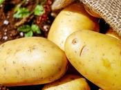 Glaner pommes terre: plan pour économiser