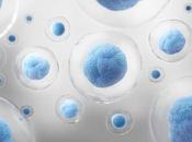 VIEILLISSEMENT chimie pour l’inverser