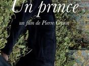 Critique cinéma Prince- flânerie forestière recherche temps perdu.