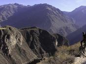 Voyage Canyon Colca