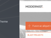 Moderniste Thème WordPress Architecture&amp;Ingénieur