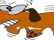 Navigation difficile pour Biden