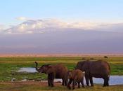 Séjour Tanzanie incontournables explorer