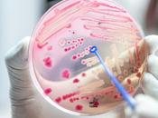 MÉNINGITE INVASIVE résurgence post-COVID sans précédent