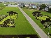 Etonnant champs transformés oeuvres d'art