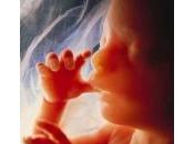 images foetus impressionnantes