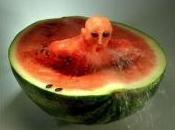 Bluffant donne aliments