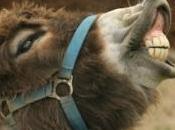 famille avec ânes dans maison