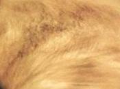 sonde Venus Express recherche Terre