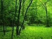 moitié contre fiscalité écologique