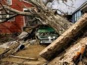 Bilan meurtrier record pour catastrophes naturelles 2008