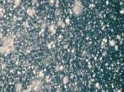 Découvrez images sculpture glace accrochée arbre