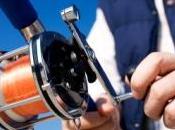 pêche chasse l'Homme accélèrent l'évolution espèces