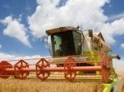 cultures judicieusement choisies pourraient combattre réchauffement climatique