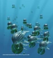 Les argentides (+ 200 millions d'années)