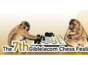 7ème festival d'échecs Gibraltar