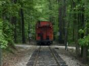 panneaux valent l'or