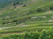route vins Valais Suisse