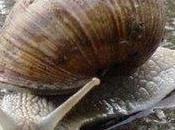 Propriété privée sens