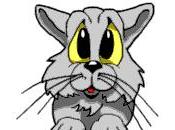 Petite pensée solitaire...