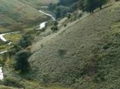 village anglais vente