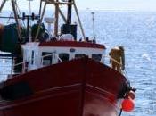 contrôles renforcer pour lutter contre pêche illégale