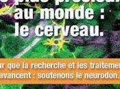 Investissons dans l'ordinateur plus précieux monde cerveau