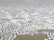 Motoi Yamamoto