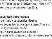 mise place Solvency coûtera milliards compagnies françaises d’ici 2012