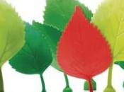 Richard Hutten vous vend verdure!