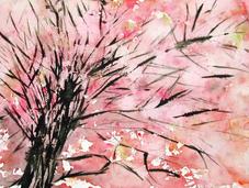 printemps arrivé cerisiers Japon sont fleurs