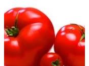 Rouge Vert Bercy Village accueille producteurs Tomates Concombres France