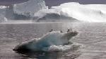 L'océan Arctique Pratiquement libre glaces dans