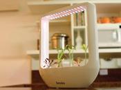 Aéroponique Broto, planteur l'avenir.