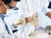 graisse nourrisson, brûleuse calories, persiste l'âge adulte