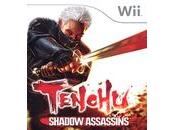 Tenchu Shadow Assassins