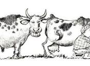 Vous avez deux vaches...