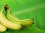 bananes comme source d''énergie renouvelable