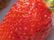 Saison fraises, vraies fausses