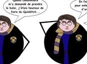 L'avis Héros Harry Potter