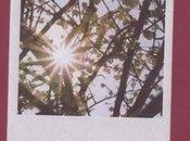 Last Morning Soundtrack