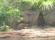 journée Wetland Park