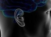 Pourquoi est-on matin" soir"