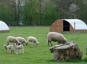 Parc Gayeulles Rennes