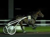 France Télévision lice pour reprendre courses hippiques