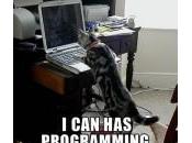 chats savent programmer