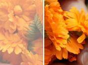 Institut Hauschka dans arrondissement